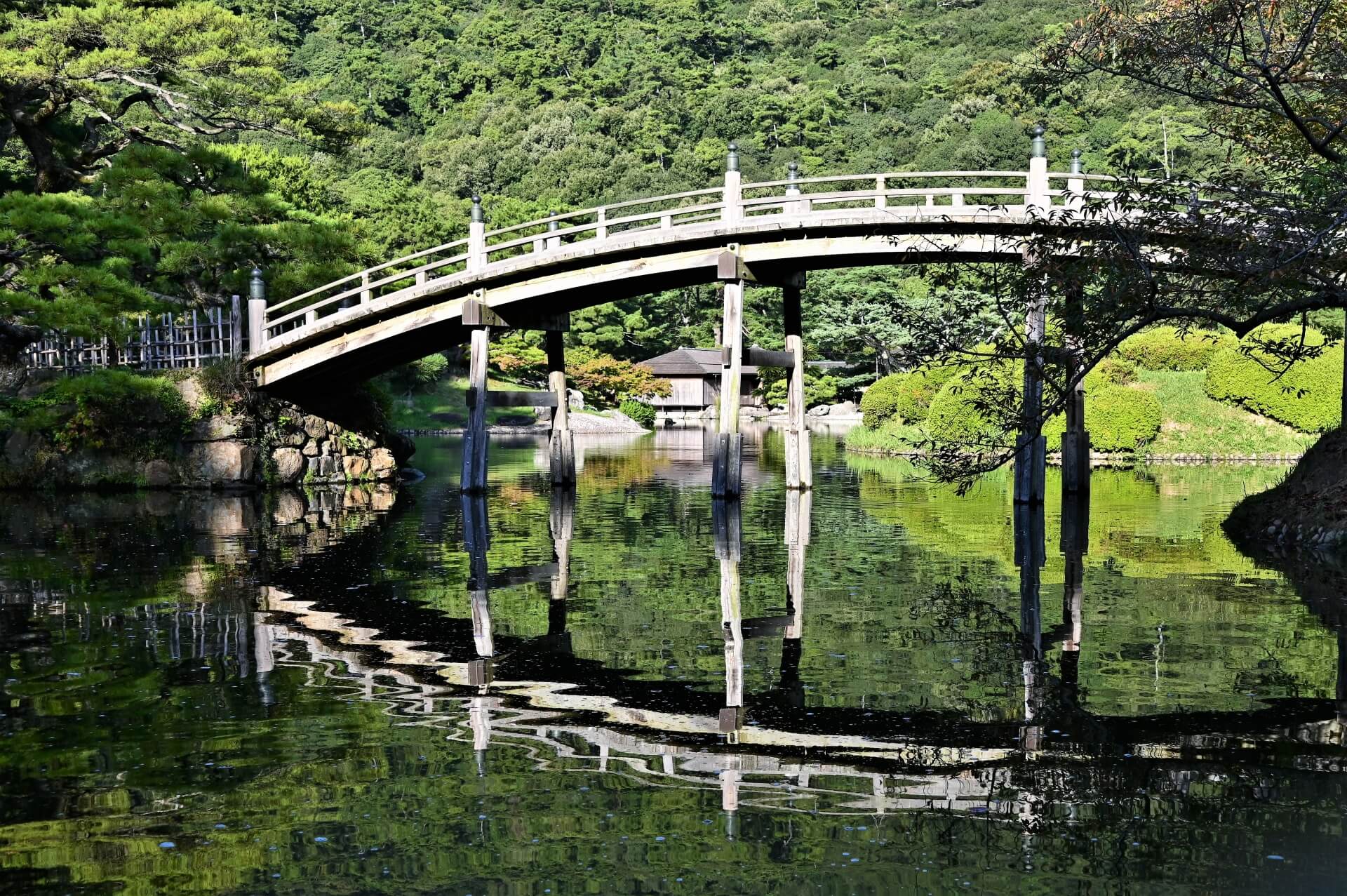 A Symphony of Seasons: Discovering the Serenity and Beauty of Ritsurin Garden in Takamatsu City, Kagawa Prefecture