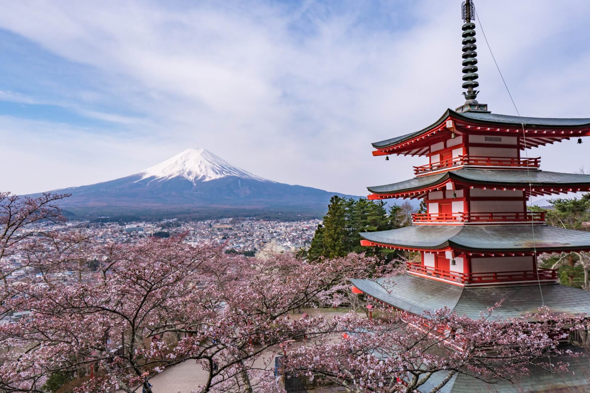 Chureito Pagoda and Cherry Blossoms: A Scenic Symphony at Arakurayama Sengen Park