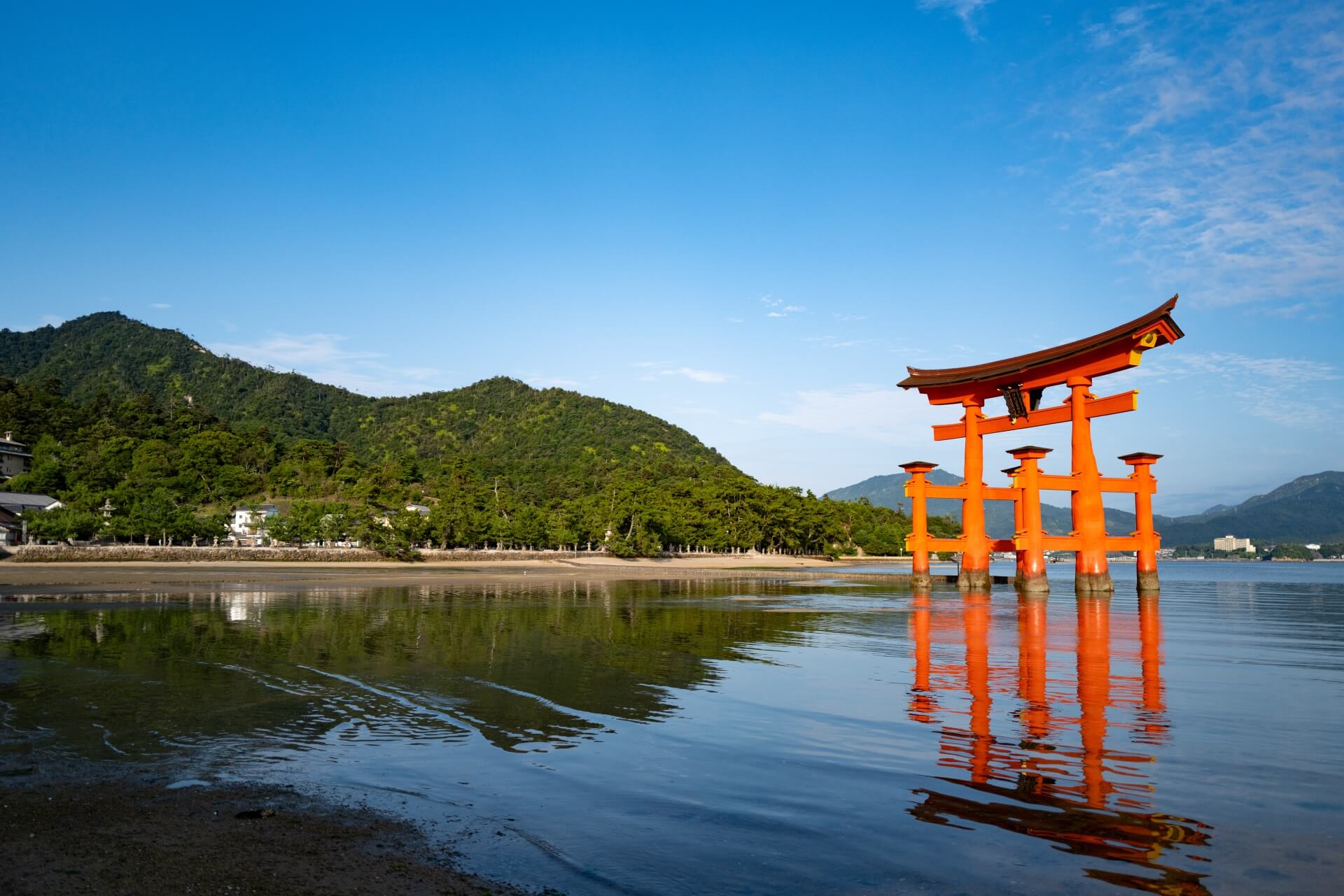 Miyajima: A Scenic Blend of History, Nature, and Gourmet Delights