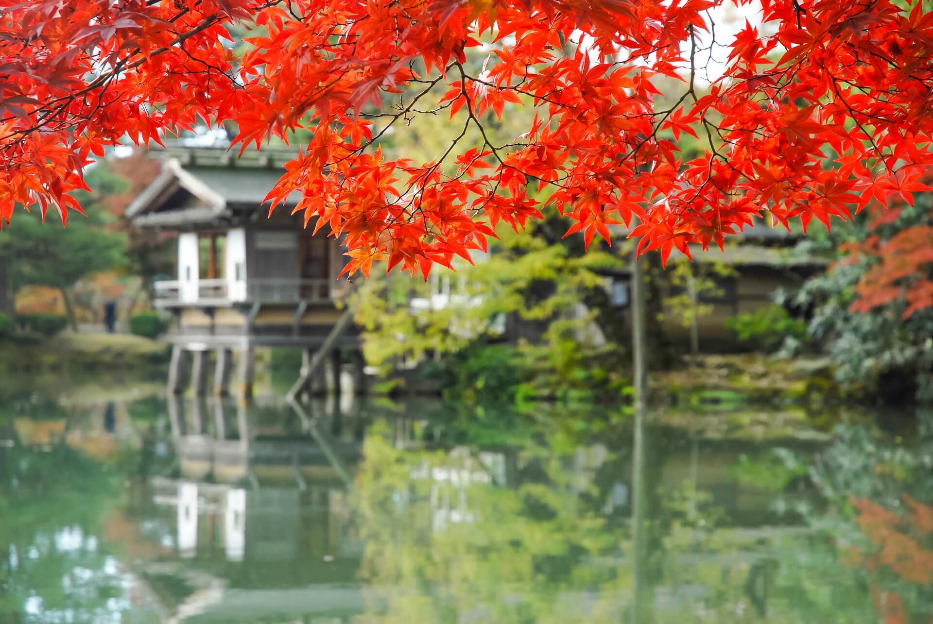 Kenrokuen: Kanazawa’s Seasonal Splendor and Historical Charm