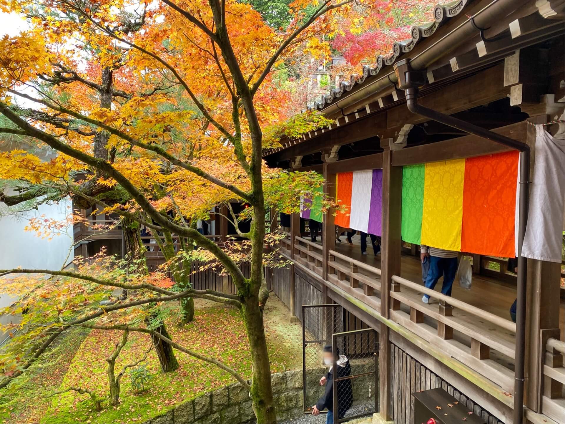 Autumn Splendor at Eikandō: Kyoto’s Premier Fall Foliage Destination