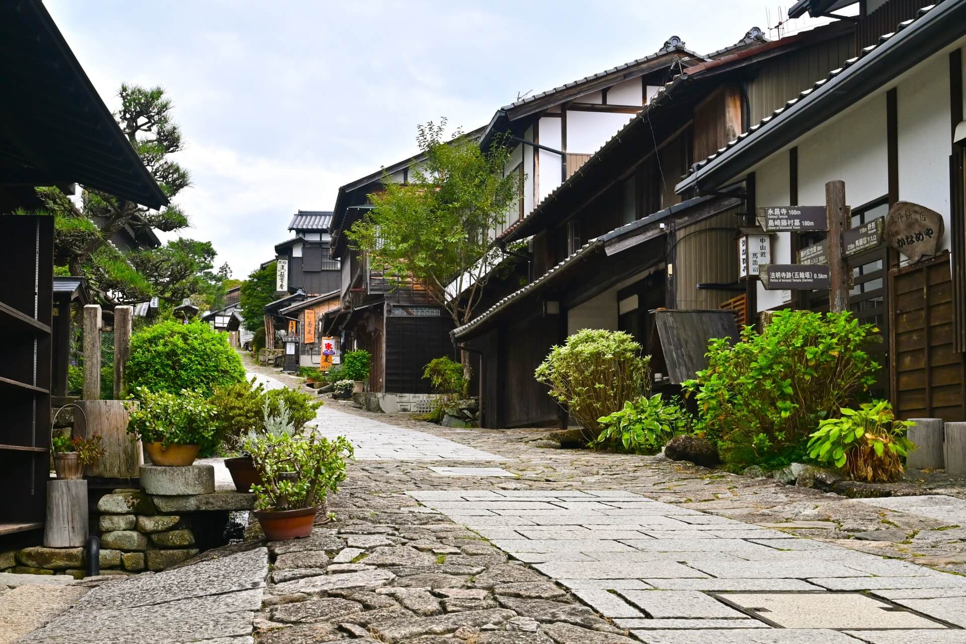 A Stroll Through Time: Discovering the Charm of Magome-juku