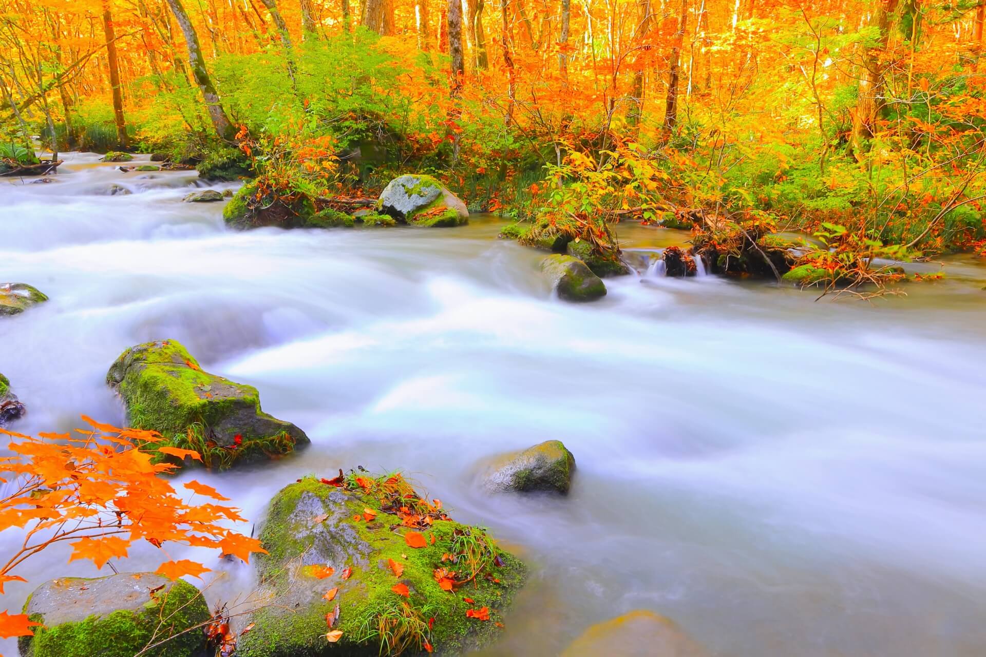 Enchanting Nature: Discovering the Beauty of Lake Towada and Oirase Stream