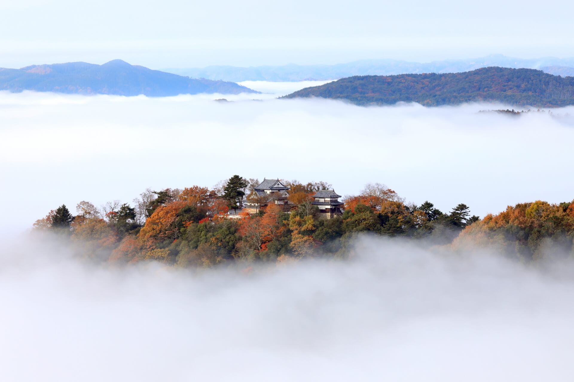 Unveiling the Majesty of Takeda Castle Ruins: A Guide to Japan’s Ethereal “Castle in the Sky”