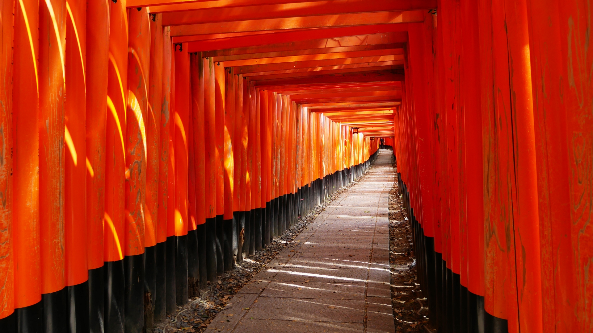 Journey to the Heart of Kyoto: An In-depth Exploration of Fushimi Inari Taisha